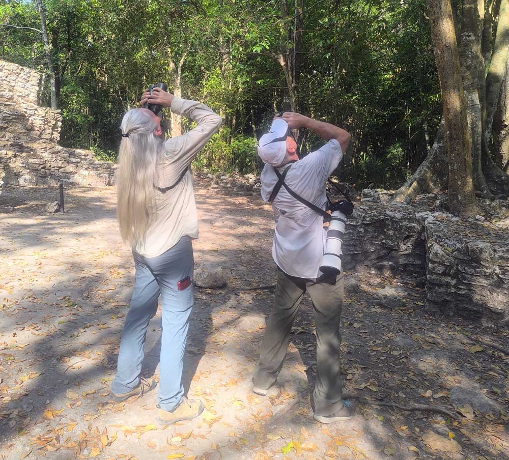 Full day bird watching tour Tulum